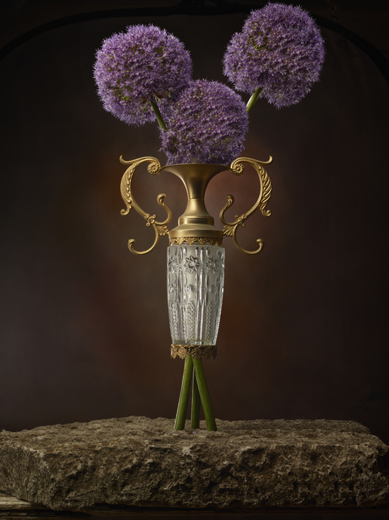 Allium nel vaso
